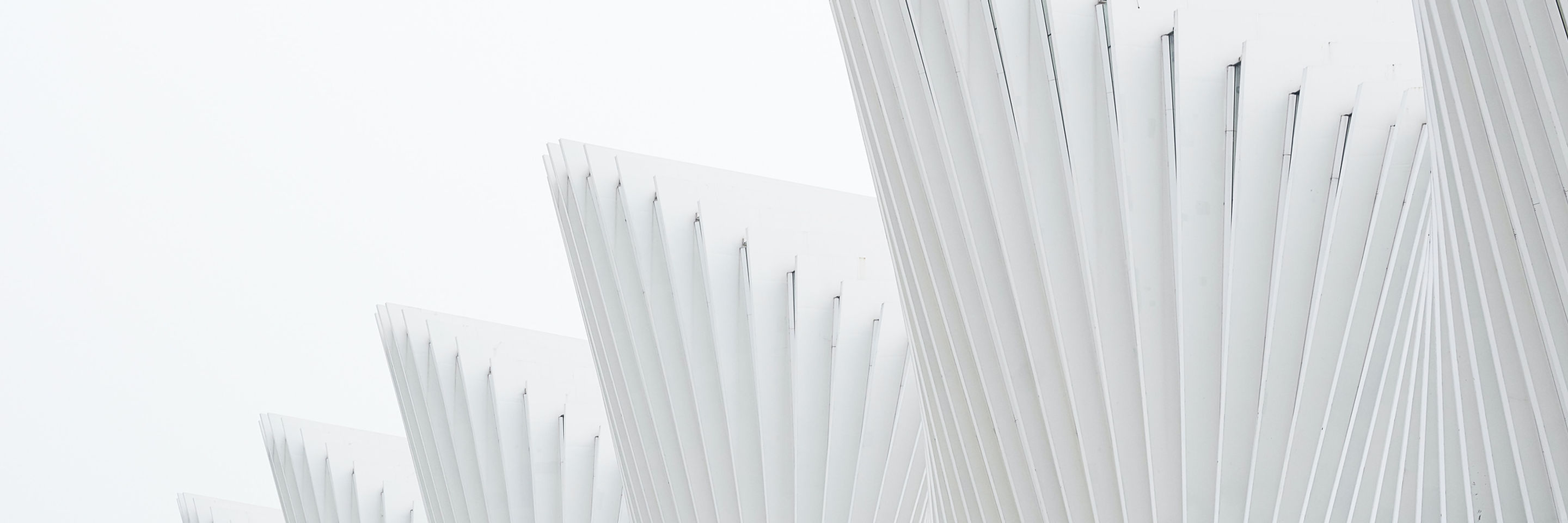 White Structure